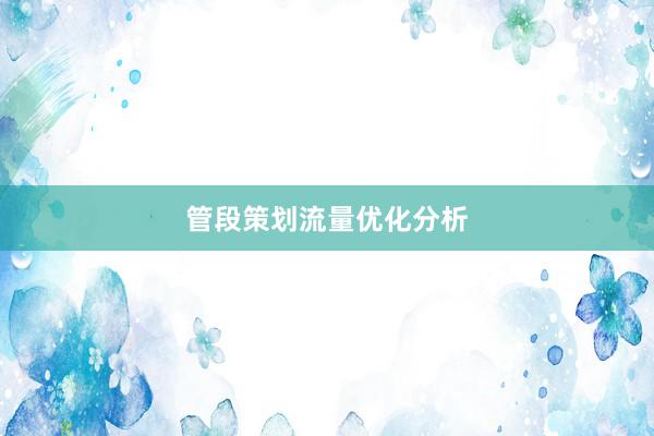 管段策划流量优化分析